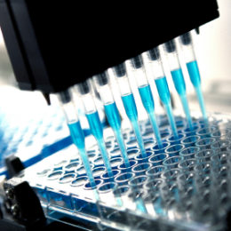 Polypropylene (PP) PCR plates can be sterilized, cleaned and activated with Intrface atmospheric plasma